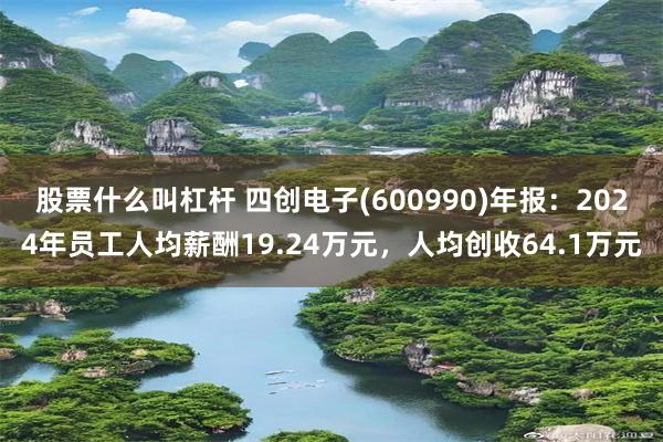 股票什么叫杠杆 四创电子(600990)年报：2024年员工人均薪酬19.24万元，人均创收64.1万元