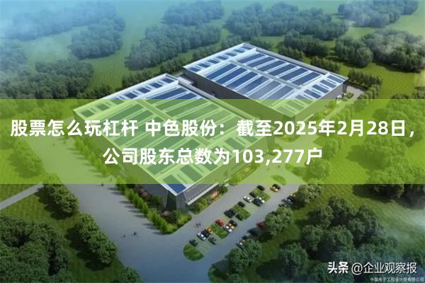 股票怎么玩杠杆 中色股份：截至2025年2月28日，公司股东总数为103,277户