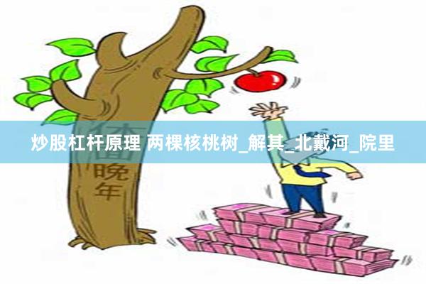 炒股杠杆原理 两棵核桃树_解其_北戴河_院里