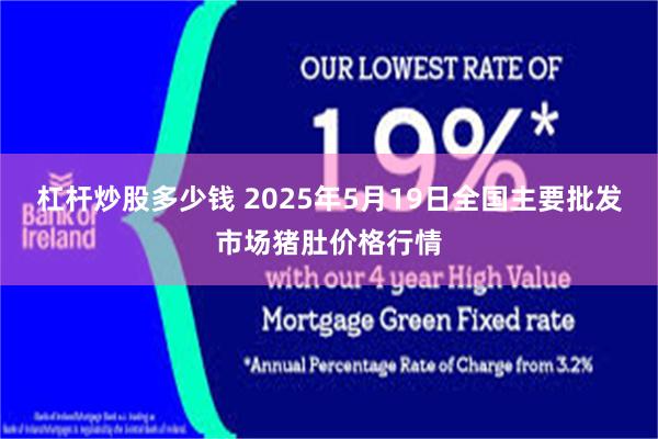 杠杆炒股多少钱 2025年5月19日全国主要批发市场猪肚价格行情