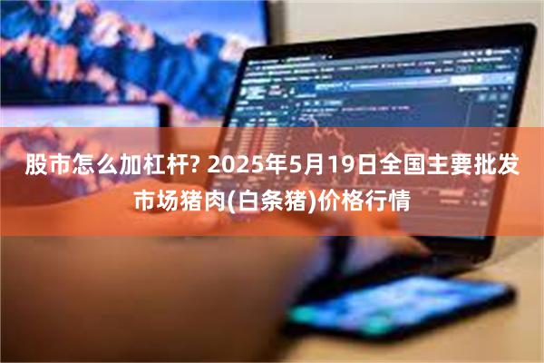 股市怎么加杠杆? 2025年5月19日全国主要批发市场猪肉(白条猪)价格行情