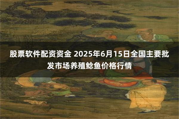 股票软件配资资金 2025年6月15日全国主要批发市场养殖鲶鱼价格行情