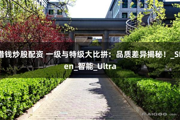 借钱炒股配资 一级与特级大比拼：品质差异揭秘！_SPen_智能_Ultra