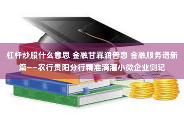 杠杆炒股什么意思 金融甘霖润普惠 金融服务谱新篇——农行贵阳分行精准滴灌小微企业侧记