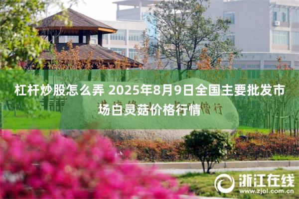 杠杆炒股怎么弄 2025年8月9日全国主要批发市场白灵菇价格行情